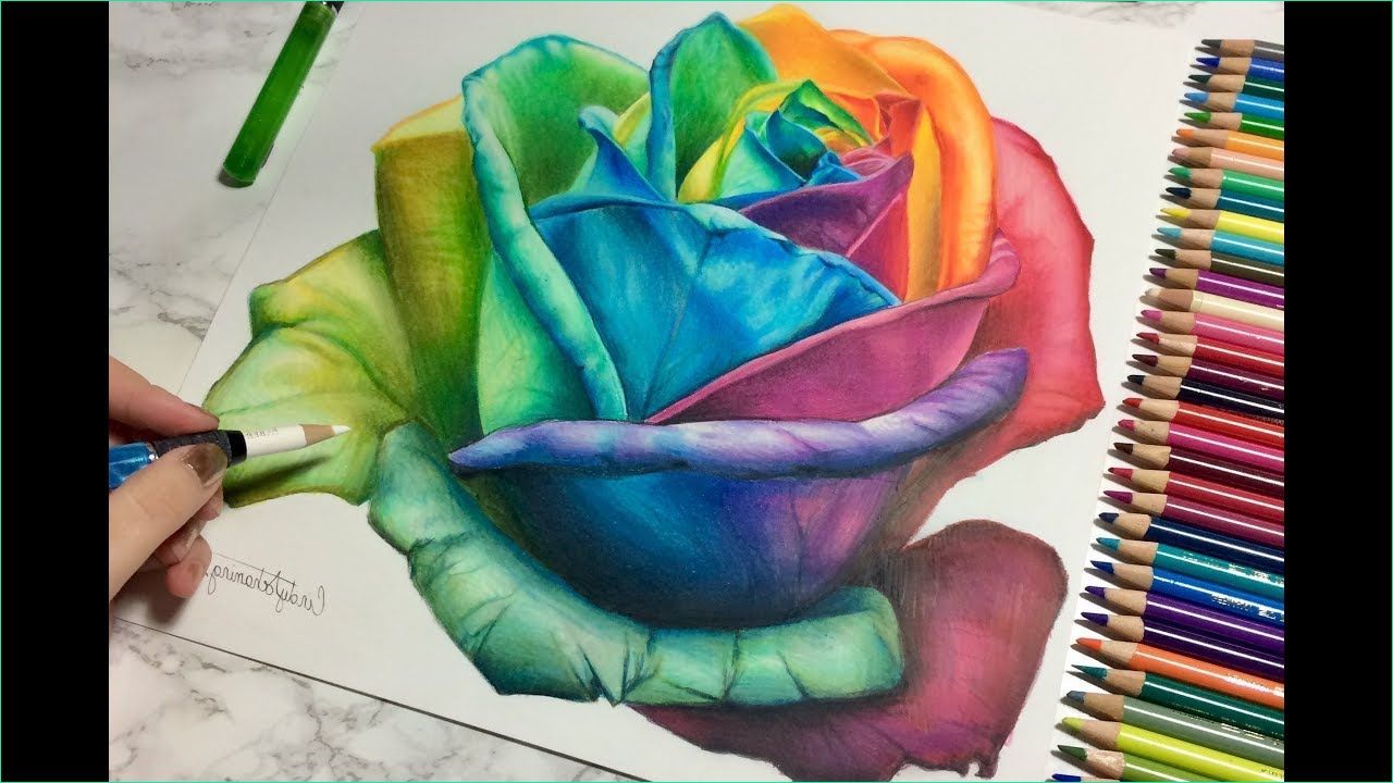 Fleur En Dessin Impressionnant Galerie Dessin Realiste D Une Rose Colorée Drawing A Colorful