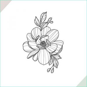 Fleur En Dessin Luxe Collection Le Dessin De Fleur – astuces Et Idées Pour Apprendre