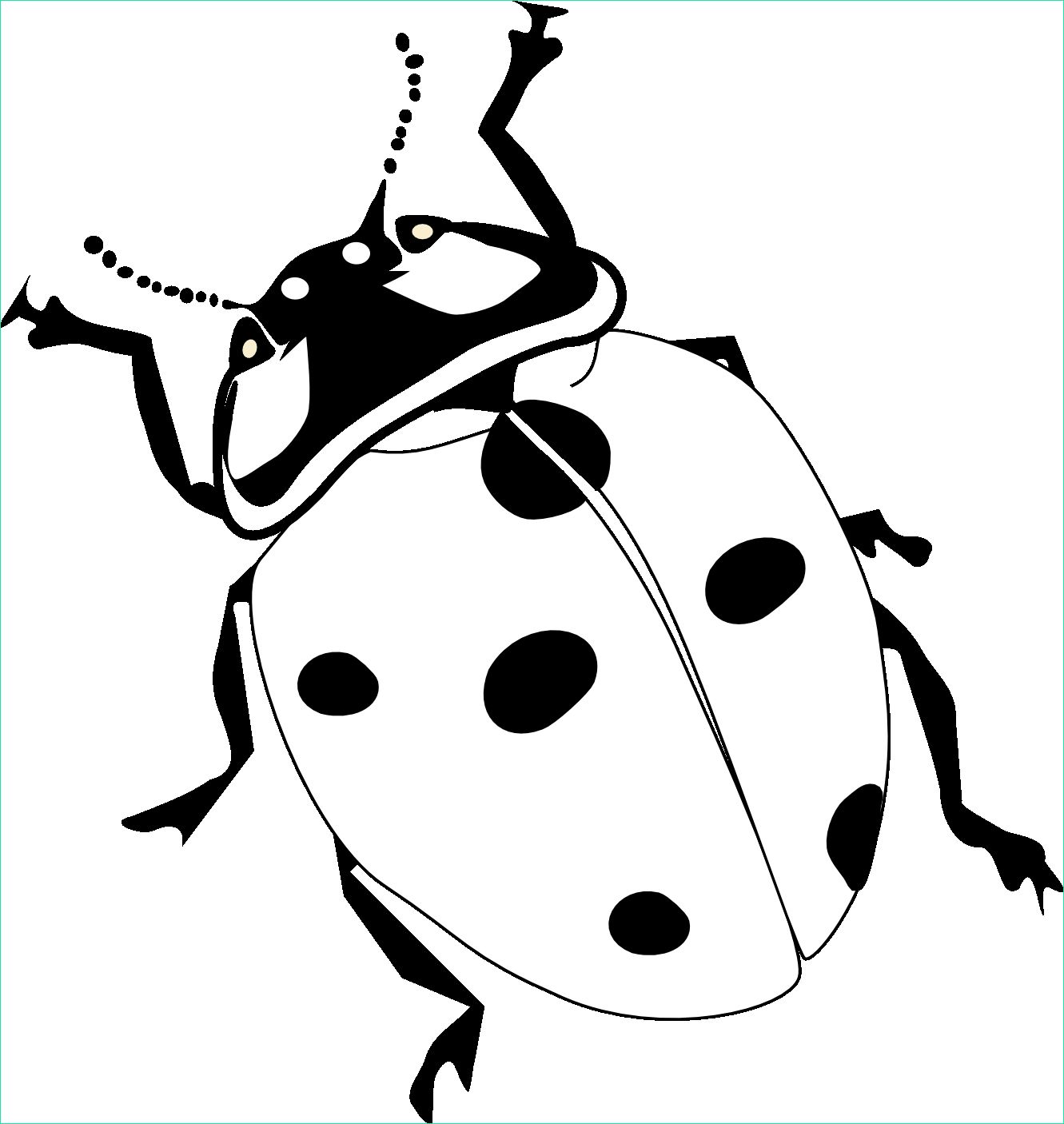 Ladybug A Colorier Unique Collection Realistic Ladybird Drawing Google Search