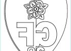 Logo Psg A Colorier Beau Images Coloriage Club De Foot Français Grenoble Dessin Gratuit à