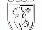 Logo Psg A Colorier Inspirant Galerie Coloriage Ecusson Foot Ligue 1