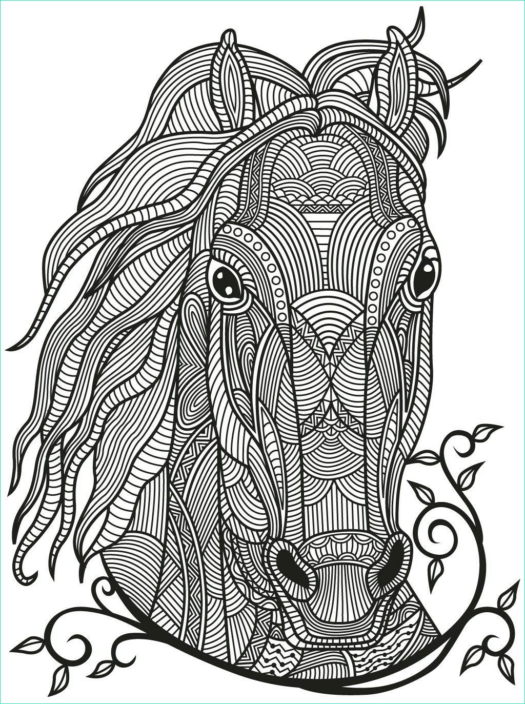 Mandala Chevaux Luxe Photos Horse Zentangle