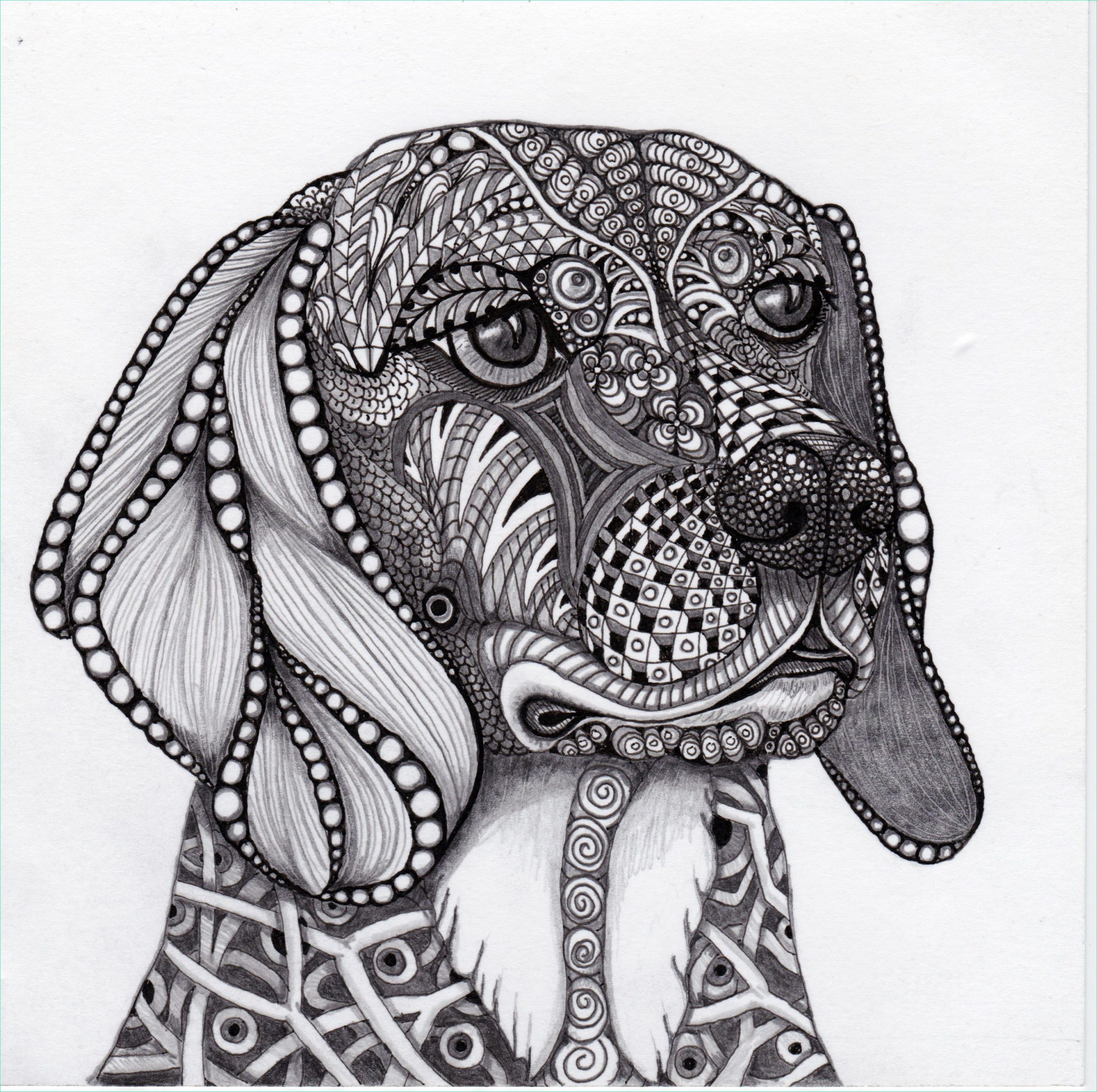 Mandala Chien Luxe Collection This is Liz’s Beagle Bandit Rendered In Ink and Graphite