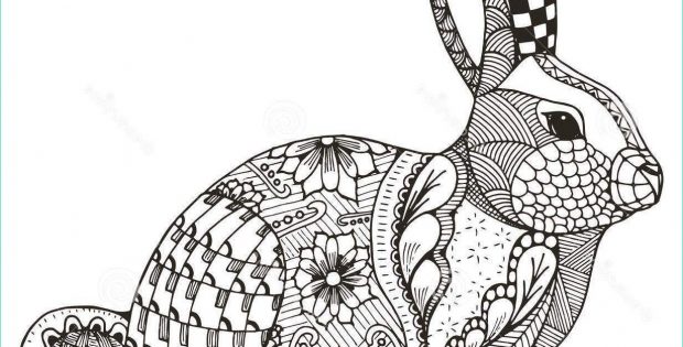 Mandala Lapin Beau Images 14 Pascher Coloriage Mandala Lapin Graph