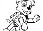 Pat Patrouille A Colorier Bestof Stock 15 Impressionnant Coloriage Pat Patrouille Rocky