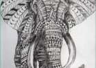 Tete D&#039;elephant Dessin Nouveau Galerie Drawing Elephant and Dessin Image On We Heart It