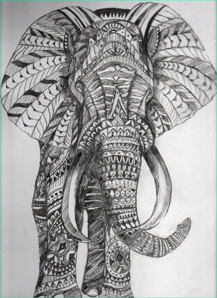 Tete D&amp;#039;elephant Dessin Nouveau Galerie Drawing Elephant and Dessin Image On We Heart It