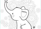 Tete D&#039;elephant Dessin Nouveau Photos Résultat De Recherche D Images Pour "elephant Dessin