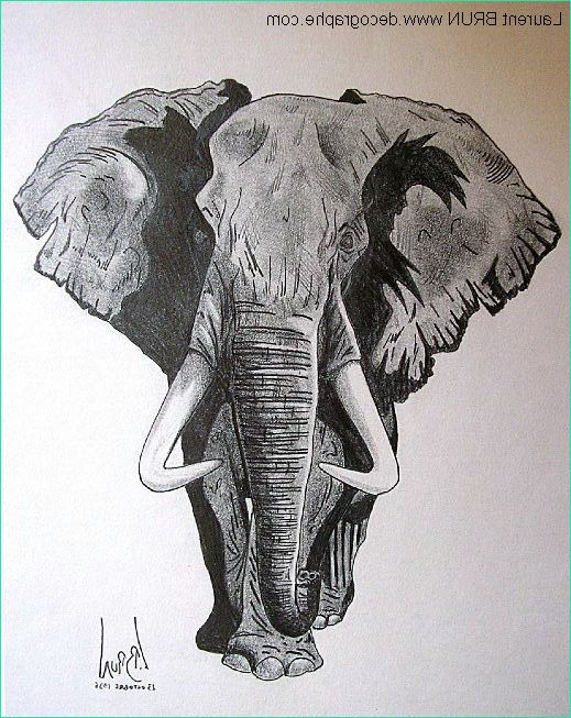 Tete D&amp;#039;elephant Dessin Unique Images Gros Mammiferes
