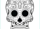 Tete De Mort Coloriage Beau Images Coloriage Squelette Sucre Fleurs Croix Sur Hugolescargot