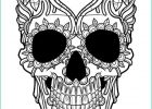 Tete De Mort Coloriage Élégant Image Afficher L