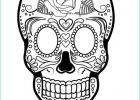 Tete De Mort Coloriage Inspirant Photographie Sugar Skull Coloring Page