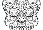 Tete De Mort Coloriage Luxe Galerie Coloriage Tete De Mort Mexicaine A Imprimer Gratuit
