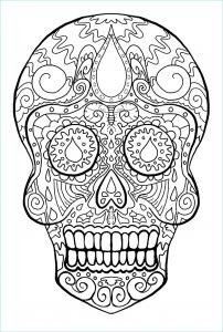 Tete De Mort Coloriage Luxe Galerie Coloriage Tete De Mort Mexicaine A Imprimer Gratuit