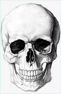 Tete De Mort Halloween Dessin Cool Collection Sticker Halloween Skull Drawing Blackandwhite Tete