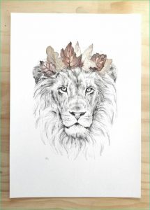 Tete Lion Dessin Beau Photographie 1001 Idées En Photos De Tatouage Lion Inspirez Vous De