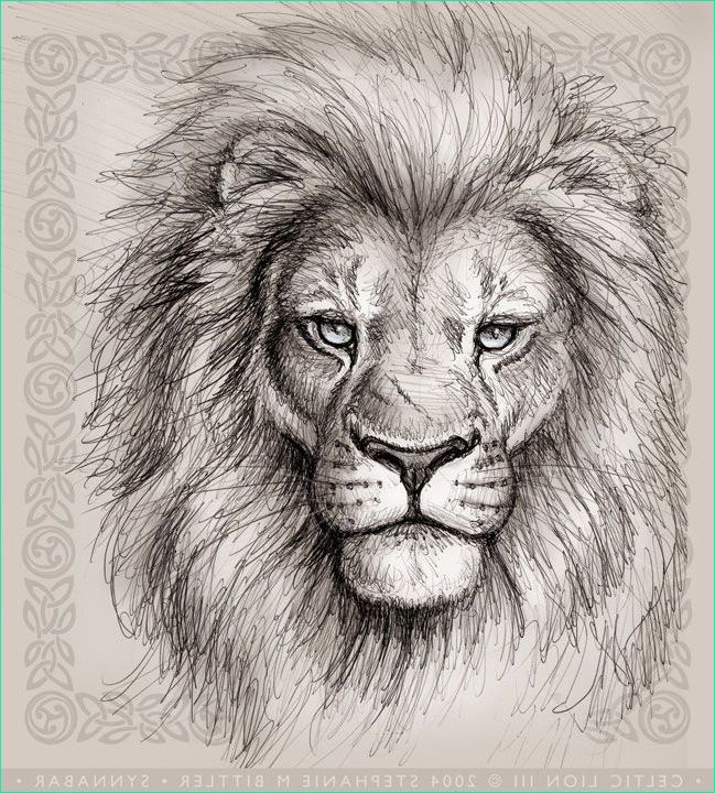 Tete Lion Dessin Bestof Stock which Ancient Warrior are You