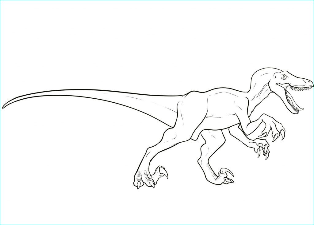 Velociraptor Coloriage Cool Stock Velociraptor Coloring Pages Best Coloring Pages for Kids