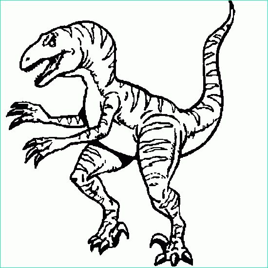 Velociraptor Coloriage Élégant Images Coloriage De Dinosaure Un Vélociraptor Coloriages D