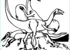 Velociraptor Coloriage Nouveau Stock Coloriages à Imprimer Vélociraptor Numéro
