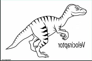 Velociraptor Coloriage Unique Photos Coloriages à Imprimer Vélociraptor Numéro F1fa6820