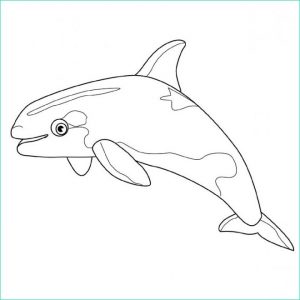 Baleine à Colorier Bestof Collection Coloriage Une Petite Baleine Dessin Gratuit à Imprimer
