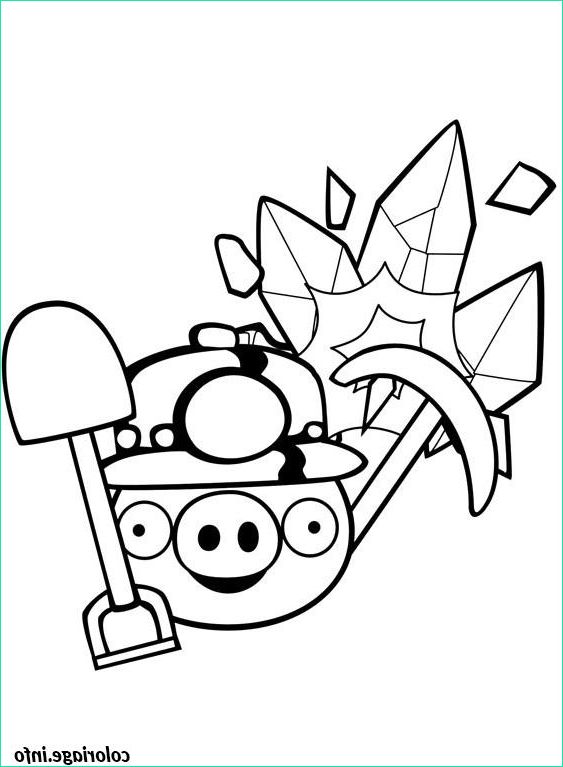 Coloriage Angry Birds Cool Photos Coloriage Angry Birds Pret Pour La Mine Dessin