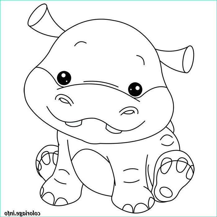 Coloriage Bebe Animaux Cool Collection Coloriage Bebe Hippopotame Dessin