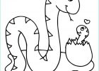 Coloriage Bebe Animaux Inspirant Images Bebe Animaux Coloriage à Imprimer Gratuitement
