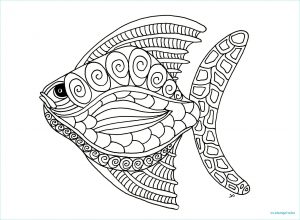 Coloriage Cameleon Bestof Images the Best Free Cameleon Drawing Images Download From 11