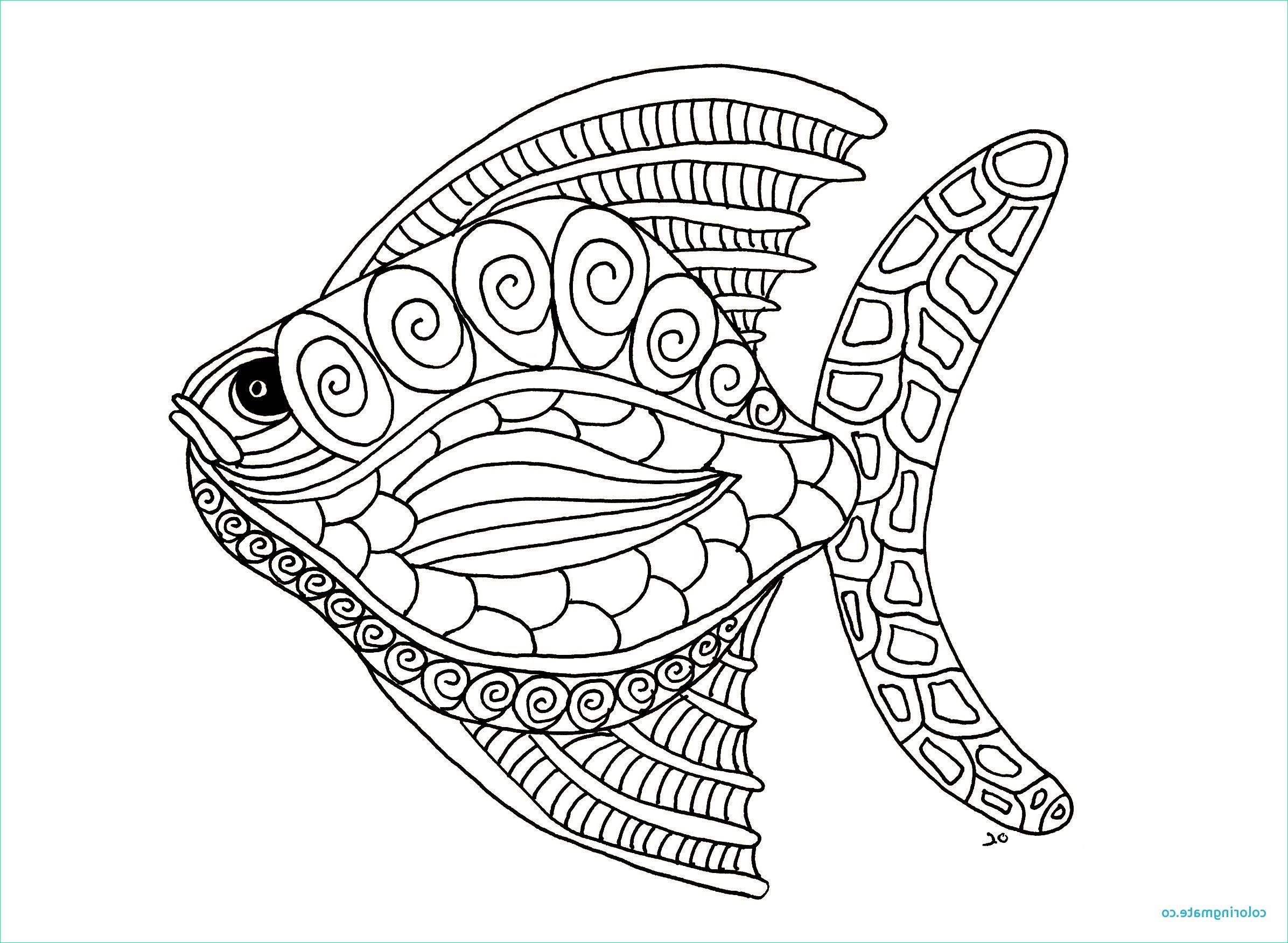 Coloriage Cameleon Bestof Images the Best Free Cameleon Drawing Images Download From 11