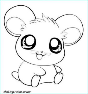 Coloriage D&amp;#039;animaux Kawaii Élégant Images Coloriage Hamster Cute Mignon Animaux Jecolorie