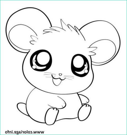Coloriage D&amp;#039;animaux Kawaii Élégant Images Coloriage Hamster Cute Mignon Animaux Jecolorie