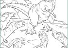 Coloriage Dinosaure à Imprimer Gratuit Inspirant Photos Coloriages De Dinosaures