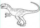 Coloriage Dinosaure à Imprimer Gratuit Nouveau Images Coloriage Dinosaure En Couleur Dessin Gratuit à Imprimer