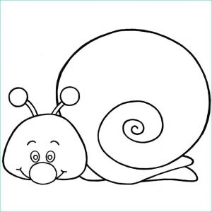 Coloriage Escargot à Imprimer Beau Photos Coloriages à Imprimer Escargot Numéro