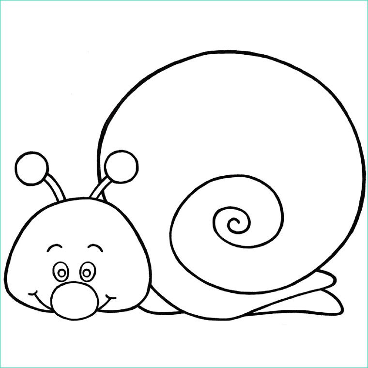 Coloriage Escargot à Imprimer Beau Photos Coloriages à Imprimer Escargot Numéro