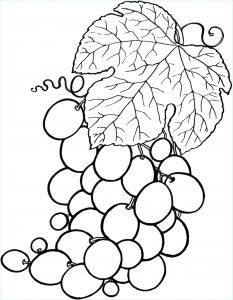 Coloriage Fruit Beau Images Fruit Coloring Pages for Childrens Printable for Free