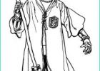 Coloriage Harry Potter Quidditch Inspirant Galerie Harry Potter