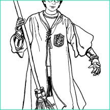 Coloriage Harry Potter Quidditch Inspirant Galerie Harry Potter ...