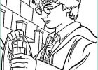 Coloriage Harry Potter Quidditch Nouveau Photographie Harry Potter Disegno Colorato Disegni Da Colorare