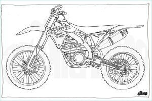 Coloriage Moto Facile Nouveau Image Adult Colouring Page Motorcycle Illustration
