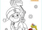 Coloriage Pat Patrouille Noel Bestof Photos Idea by Debra Caesar On Tay