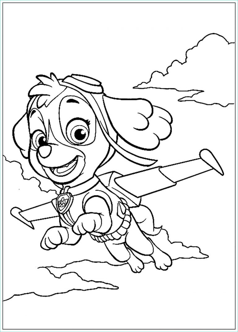 Coloriage Paw Patrol à Imprimer Beau Photos Paw Patrol to Color for ...