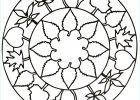 Coloriage Simple Beau Photos Simple Mandala 75 Mandalas Coloring Pages for Kids to