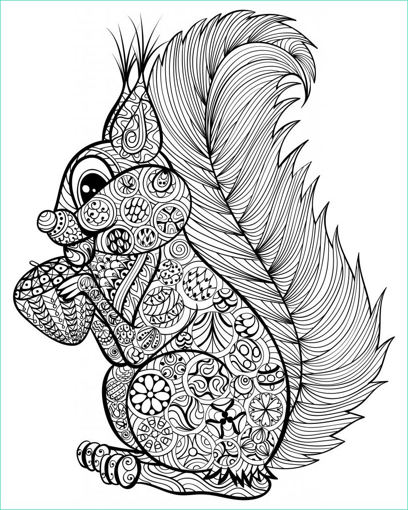 Dessin Compliquer Impressionnant Photos Hand Drawn Funny Squirrel with Nut for Adult Anti Stress