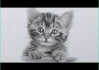 Dessin De Chatons Beau Photographie Ment Dessiner Un Chaton