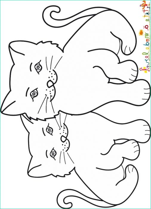 Dessin De Chatons Luxe Collection Chaton Image De Chat Dessin Get Two