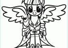 Dessin De My Little Pony Beau Photographie My Little Pony Coloring Page Coloring Home