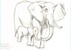 Dessin éléphant D&#039;afrique Bestof Photos Sculi Dessin éléphant D Afrique Elephante Et Eléphanto
